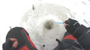 Открытие зимней рыбалки по тонкому льду. Выручил по щуке Балансир Lucky John NORDIC 4