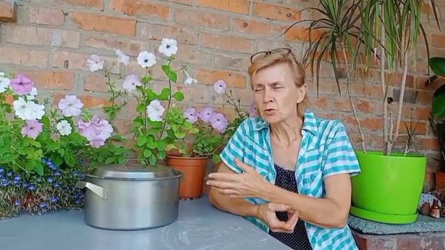 Привет👋🏡Славянск 24 июля 2023 смотреть онлайн