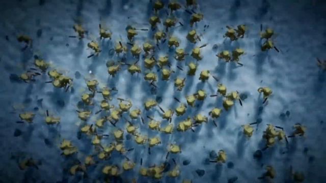 AMV Триумф онлайн : Аватар короля / Quanzhi Gaoshou / The King’s Avatar смотреть онлайн