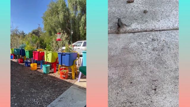 Container Gardening CHEAP Growing Tons of FOOD in Raised Bed Storage Tote $7 or Less & $ Saving TIP смотреть онлайн