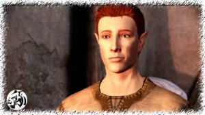 Dragon Age: Origins. Разбойник #79. Эльфинаж