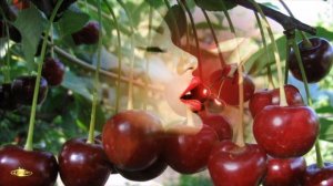 ♫"ВИШНИ ВКУС НА ГУБАХ". Сергей Грищук.