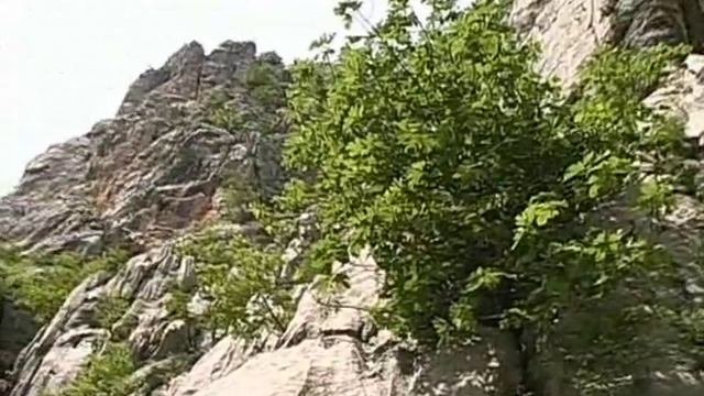 Золотой глобус 23 Хорватия