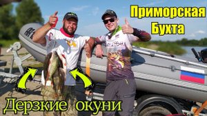 Окунёвое Эльдорадо! Рыбалка в Калининграде.