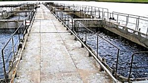 Ферма по выращиванию речных раков