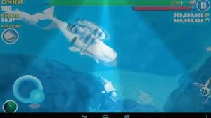 Где в Hungry Shark Evolution искать вражеского Алана?