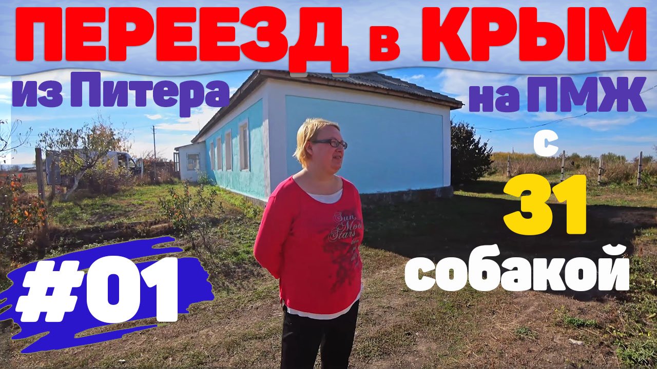 Переезд в Крым! Переезжаем из Санкт-Петербурга в Крым с 30 собаками! Начало истории Питомника Собак.