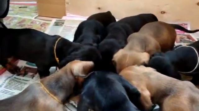 Мы уже умеем кушать творог смотреть онлайн