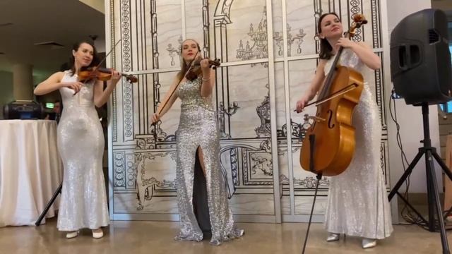 Скрипичное трио VITELIA, акустическое струнное трио на встречу гостей на свадьбу, корпоратив