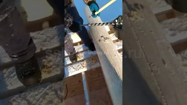 Сборка сруба из оцилиндрованного бревна | Как правильно сверлить шканты