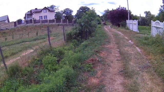 ПРИВИВА ГРЕЦКОГО ОРЕХА . Walnut grafting . Прививка грецкого ореха поздней весной . Результат .