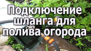 Полив огорода своими руками Где подключить шланг для полива огорода Полив огорода из скважины