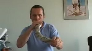 манок АРТ на оленя