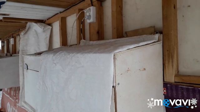 Обзор хозяйства. Кролики. Крольчата от Белого Великана. Крольчата от Фландера.