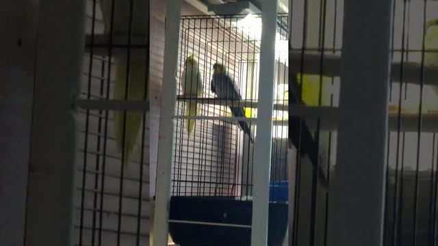 Полюби меня таким какой я есть!