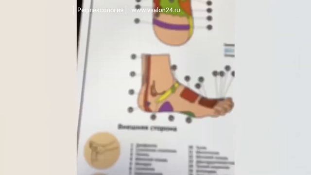 Рефлексологический массаж стоп / Рефлексология (плакат)