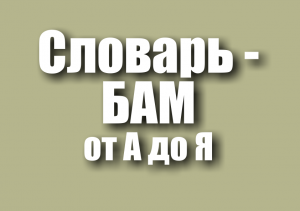 Краеведческий словарь «БАМ от «А» до «Я» | Выставка