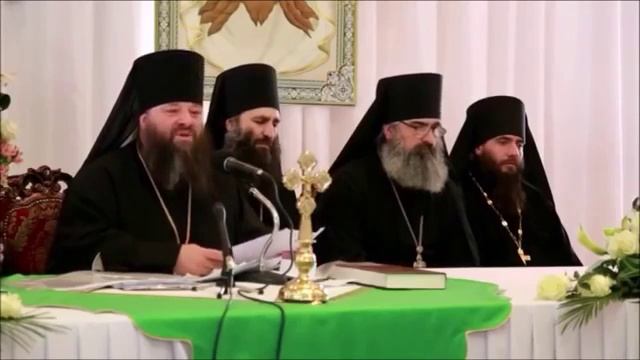 Почему не поминают на литургиях патриарха Кирилла смотреть онлайн