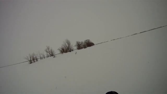 Фотоохота 05.01 №1 смотреть онлайн