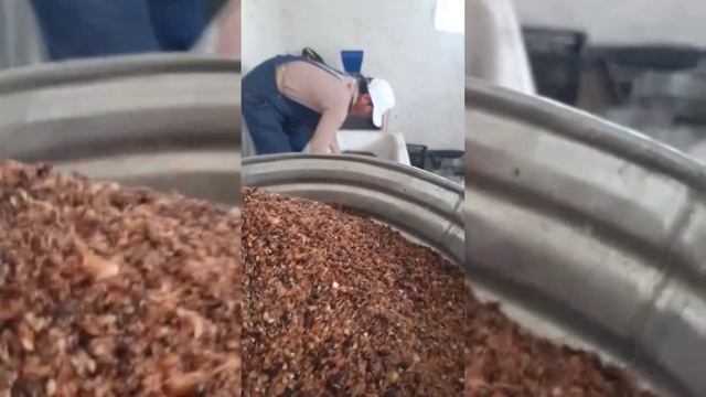 ГРАНУЛИРОВАННЫЕ КОРМА смотреть онлайн