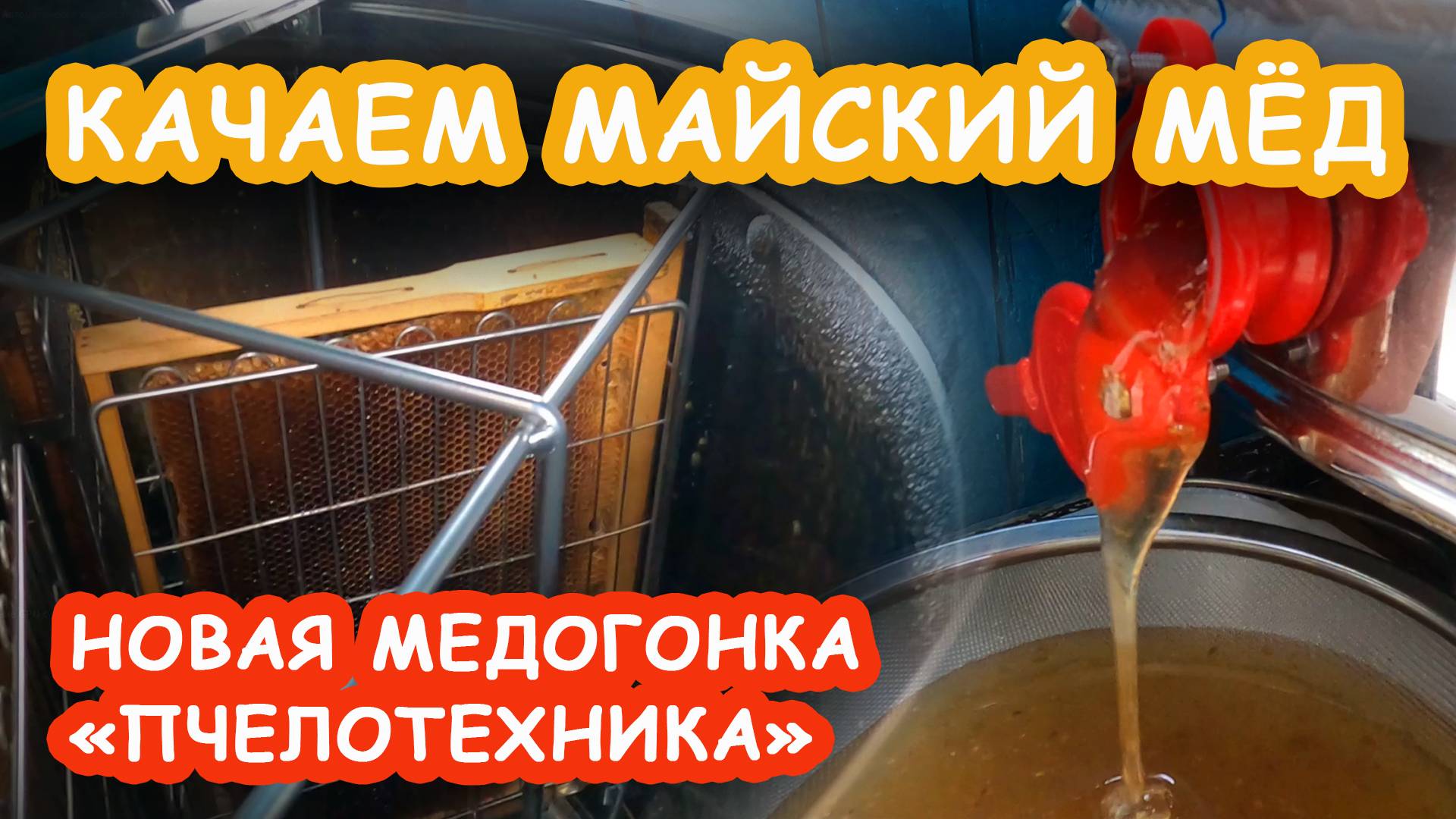 КАЧАЕМ МАЙСКИЙ МЁД