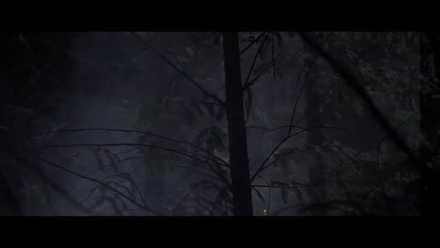 Зачем нужна цветокоррекция видео?