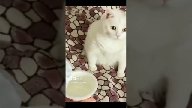 Помогаю мамочке