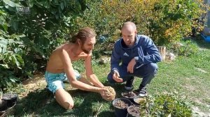 Черенкование Форзиции .)Два Александра :-))