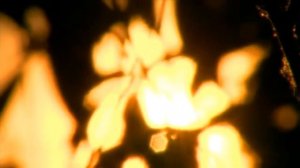 Петр Трушин  Летний вечер