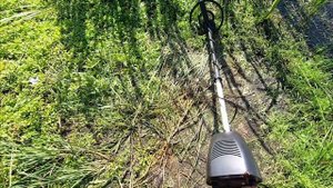 КОП НА СТАРОМ ПЛЯЖЕ | НАХОДКИ С МД 4030P.