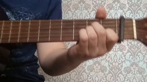 Енотик-полоскун на гитаре (любитель)
