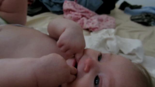 Я - тигр! смотреть онлайн