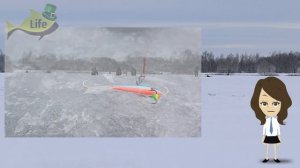 Топ УЛОВИСТЫХ приманок на судака зимой! На что ловить судака зимой?