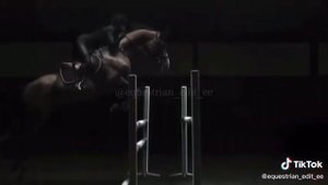 / ЭДИТ/ #конкур## tik tok# horse