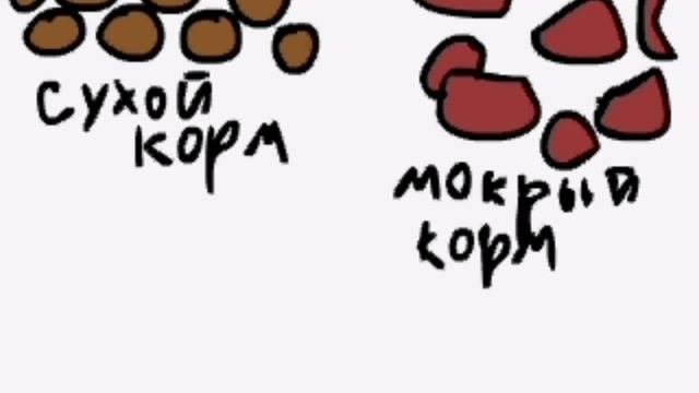Мимикотология