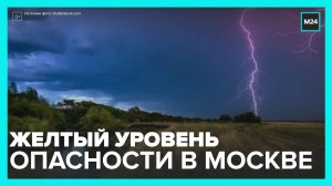 Желтый уровень опасности объявили в Москве из-за грозы - Москва 24