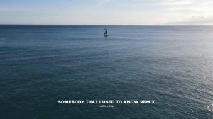 Gotye - Somebody That I Used To Know (modish. Remix)
