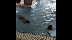 ОТДЫХ В ПОДМОСКОВЬЕ. ЛУЧШИЕ ОТЕЛИ. ВСЁ ВКЛЮЧЕНО. ПАРК ОТЕЛЬ ОРЛОВСКИЙ.