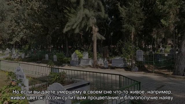 К чему снится давать умершему? Толкование сна и его значение по сонникам Ванги и Фрейда