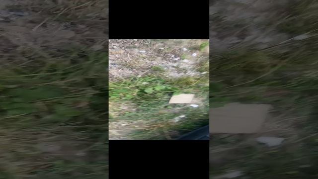 26-08-2024 смотреть онлайн