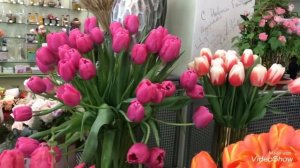 Самый Красивый Цветочный магазин!От души всех Поздравляю с Праздником!