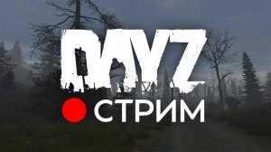 Dayz