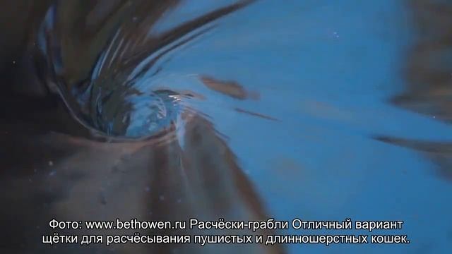 Щётки для расчёсывания кошек
