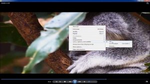 Windows Media Player Review
