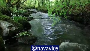 Красивое чтение Корана (для успокоения души)