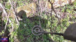 Копаем металлолом с металлоискателем