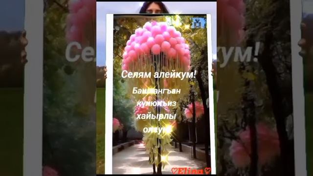 selam.mp4

https://donate.stream/yoomoney410011164890448