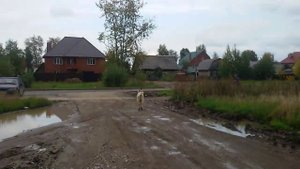 Коза гуляет по Перми#2