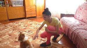 ЧЕМ ЗАНИМАЕТСЯ  Alisa Easy СВОБОДНОЕ ВРЕМЯ / Чуть не устроила пожар  / Изироза / Алиса Изи