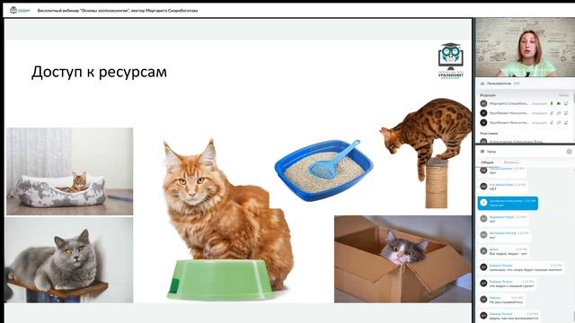 Основы зоопсихологии для ветврачей, лектор Маргарита Скоробогатова